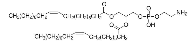 Sigma-Aldrich 二油酰基 L-α-磷脂酰乙醇胺,≥99%(GC),≥98%(TLC),冻干粉