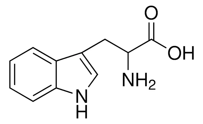 Sigma-Aldrich DL -色氨酸,≥99%(HPLC),用于肽合成