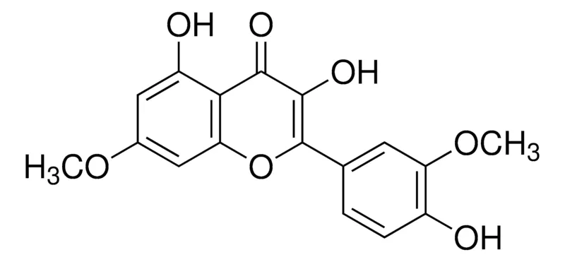 Sigma-Aldrich 鼠李津，≥99%（HPLC法）