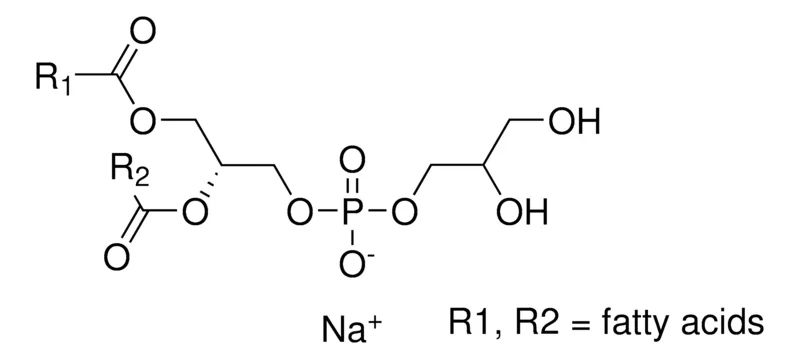 Sigma-Aldrich L-α-磷脂酰- DL -甘油 钠盐 来源于鸡蛋黄卵磷脂,≥99%(TLC),冻干粉