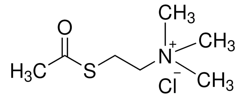 Sigma-Aldrich 氯化乙酰硫代胆碱,≥99%(TLC),粉末
