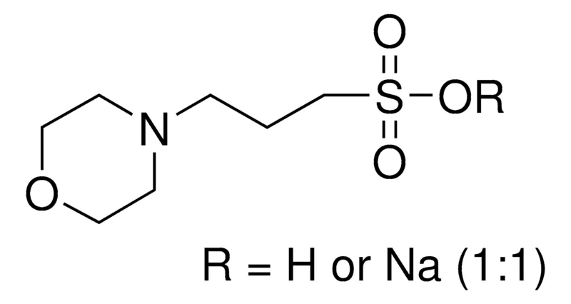 Sigma-Aldrich MOPS 半钠盐，≥99%（滴定）