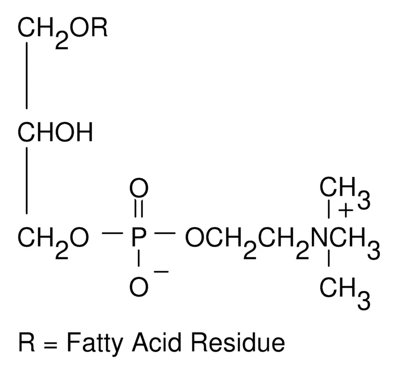 Sigma-Aldrich L-α-溶血磷脂酰胆碱 来源于鸡蛋黄，≥99%，I型，粉末