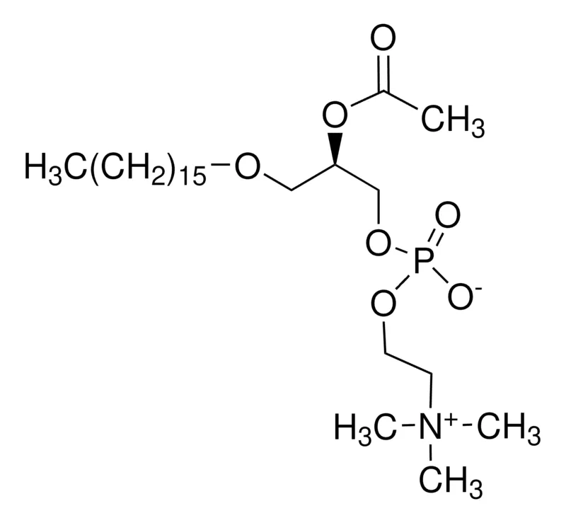 Sigma-Aldrich β-乙酰基-γ-O-烷基-L-α-磷脂酰胆碱 来源于牛心脏卵磷脂，≥99%，冻干粉末