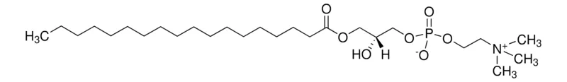 Sigma-Aldrich 1-硬脂酰-sn-甘油-3-磷酸胆碱，≥99%，粉末