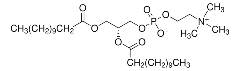 Sigma-Aldrich 1,2-双十二酰基- 锡 -甘油基-3-磷酸胆碱，≥99%，合成