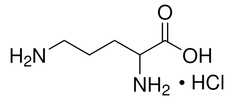 Sigma-Aldrich DL -鸟氨酸 单盐酸盐，≥99.0%（AT）