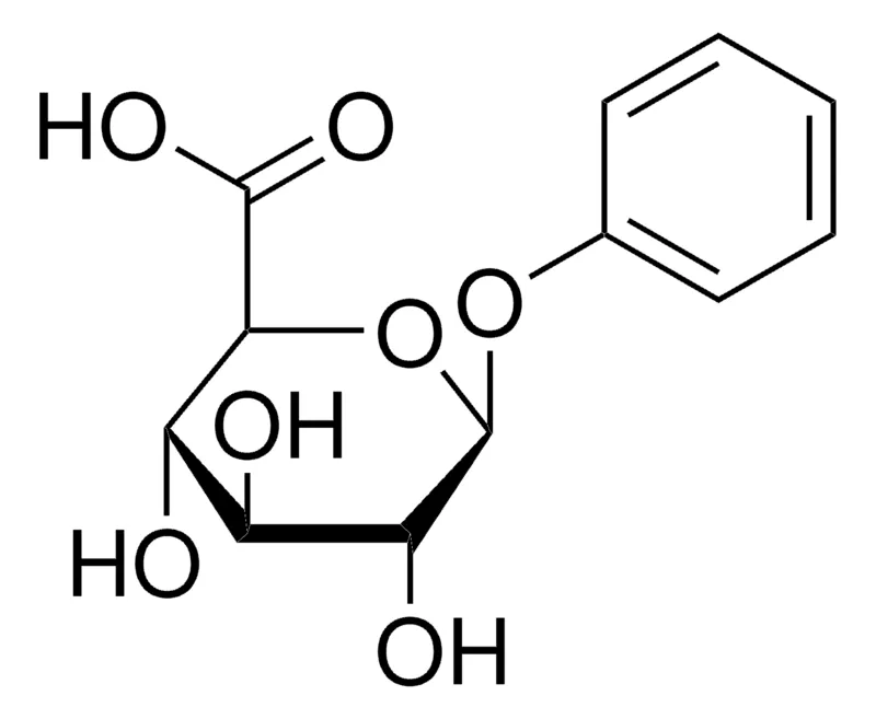 Sigma-Aldrich Phenyl-β-D-glucuronide,≥99.0%(HPLC),粉末