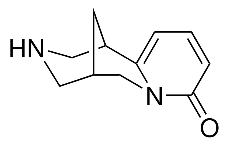 Sigma-Aldrich 金雀花碱,≥99.0%(HPLC),≥99%