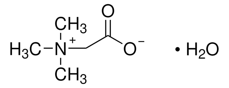 Sigma-Aldrich 甜菜碱 一水合物，≥99.0%（NT）
