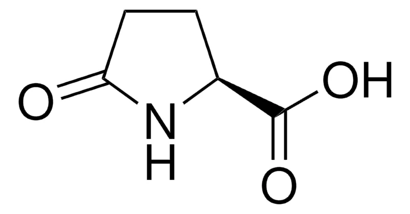 Sigma-Aldrich L-焦谷氨酸,≥99.0%(T),用于肽合成
