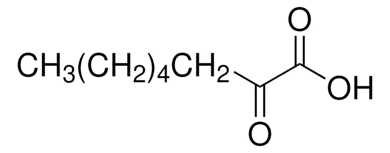 Sigma-Aldrich 2-氧代辛酸，≥99.0%（T）