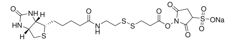 Sigma-Aldrich Sulfo-NHS-SS-Biotin,>80% Na基(元素分析)