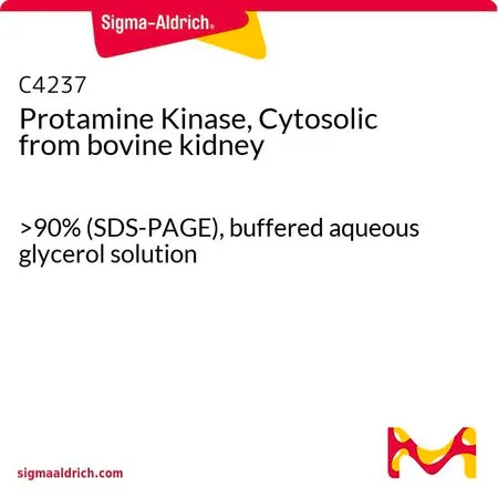 Sigma-Aldrich Protamine Kinase, Cytosolic from bovine kidney，>90%（SDS-PAGE），甘油缓冲水溶液