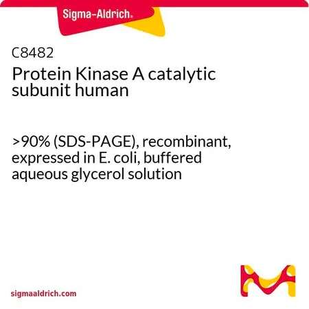 Sigma-Aldrich Protein Kinase A catalytic subunit human,>90%(SDS-PAGE),重组,在大肠杆菌中表达,甘油缓冲水溶液