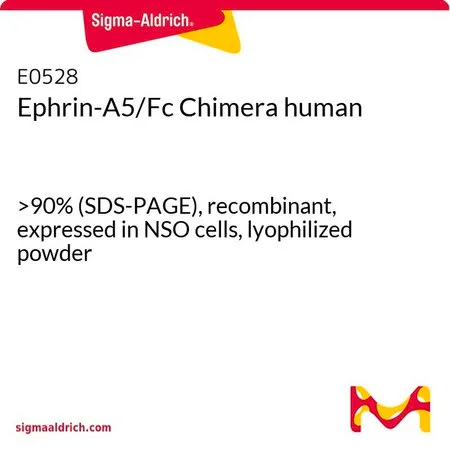 Sigma-Aldrich Ephrin-A5/Fc Chimera human,>90%(SDS-PAGE),重组,在NSO细胞中表达,冻干粉
