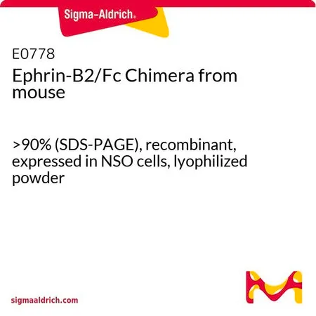 Sigma-Aldrich Ephrin-B2/Fc Chimera from mouse,>90%(SDS-PAGE),重组,在NSO细胞中表达,冻干粉