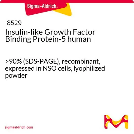 Sigma-Aldrich Insulin-like Growth Factor Binding Protein-5 human，>90%（SDS-PAGE），重组，在NSO细胞中表达，冻干粉