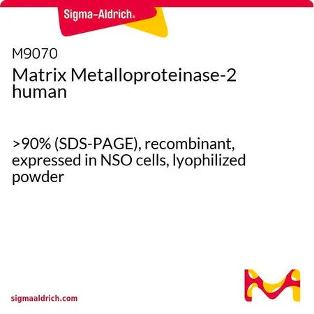 Sigma-Aldrich 基质金属蛋白酶-2 人,>90%(SDS-PAGE),重组,在NSO细胞中表达,冻干粉