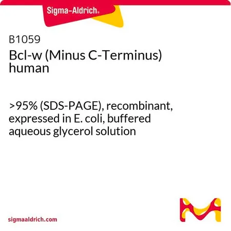Sigma-Aldrich Bcl-w (Minus C-Terminus) human，>95%（SDS-PAGE），重组，在大肠杆菌中表达，甘油缓冲水溶液