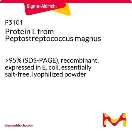 Sigma-Aldrich Protein L from Peptostreptococcus magnus,>95%(SDS-PAGE),重组,大肠杆菌表达,基本无盐,冻干粉