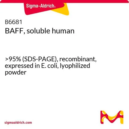 Sigma-Aldrich BAFF, soluble human，>95%（SDS-PAGE），重组，大肠杆菌表达，冻干粉末