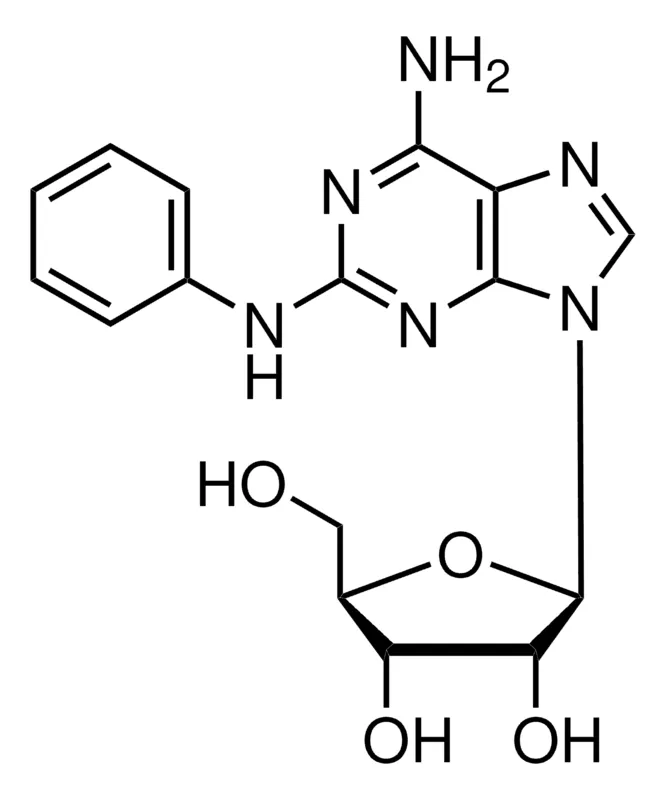 Sigma-Aldrich 2-Phenylaminoadenosine,>97%,固体