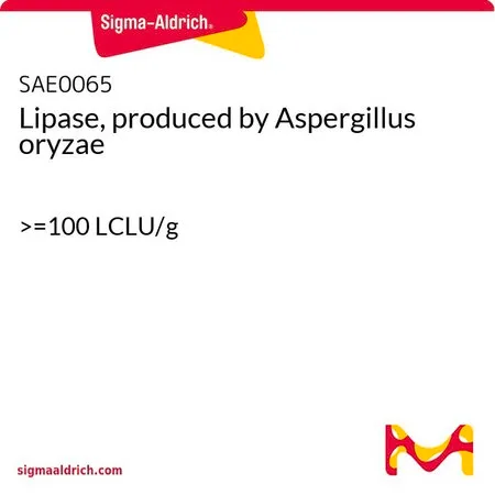 Sigma-Aldrich 脂肪酶，来自于米曲霉（Aspergillus oryzae），>=100 LCLU/g