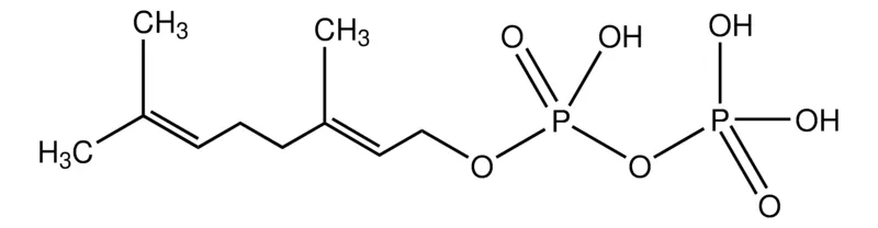 Sigma-Aldrich 香叶基焦磷酸盐 铵盐，≥95%（TLC），液体