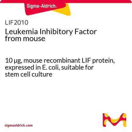 Sigma-Aldrich 小鼠白血病抑制因子,10 µg,小鼠重组LIF蛋白,在大肠杆菌中表达,适用于干细胞培养