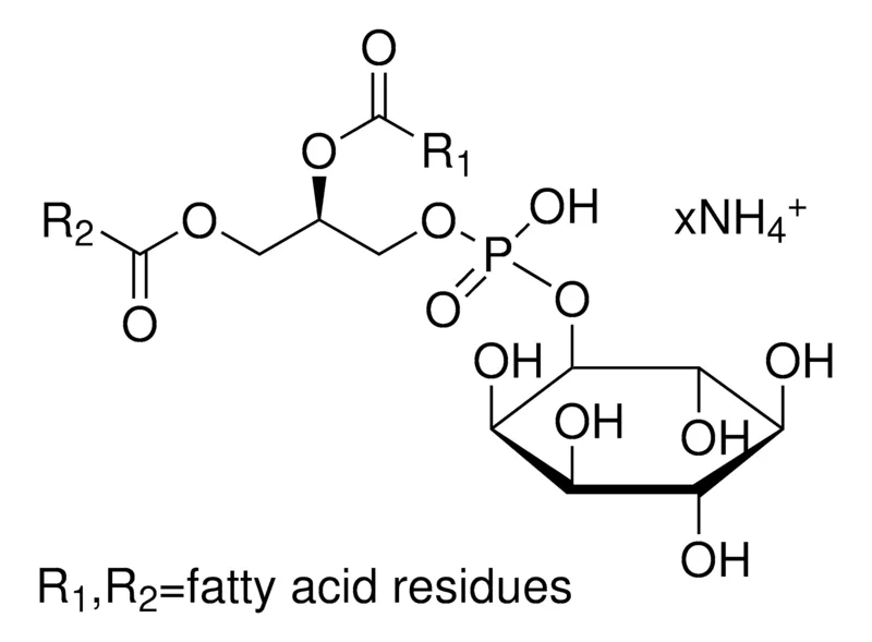 Sigma-Aldrich L-α-磷脂酰肌醇 铵盐 来源于大豆,10 mg/mL氯仿溶液,≥97.0%