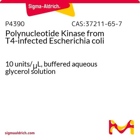 Sigma-Aldrich Polynucleotide Kinase from T4-infected Escherichia coli,10单位/μL,甘油缓冲水溶液