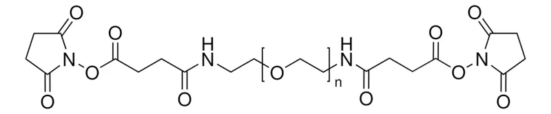 Sigma-Aldrich O,O′-双[2-(N-琥珀酰亚胺-琥珀酰氨基)乙基]聚乙二醇，10,000