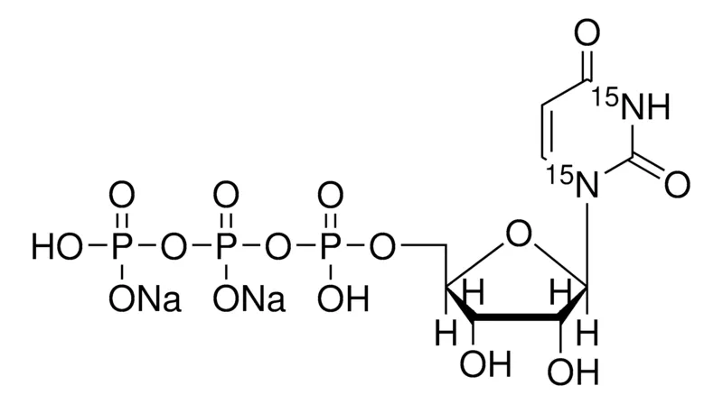 Sigma-Aldrich 尿苷-15N2 5′-三磷酸 钠盐 溶液，100 mM（溶于5 mM Tris HCl / H2O），≥98 atom % 15 N，≥95%（CP）