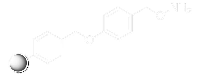 Sigma-Aldrich 羟胺，聚合物键合于王氏树脂，100-200目，标记程度：1.0- 1.5mmol/g负载，1%与二乙烯基苯交联