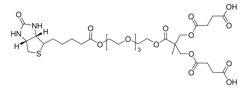 Sigma-Aldrich Polyester bis-MPA dendron,2个羧基,1个生物素(核心),第1代