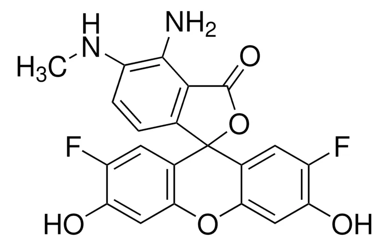 Sigma-Aldrich DAF-FM solution,5 mM DMSO溶液,≥97%(HPLC法)