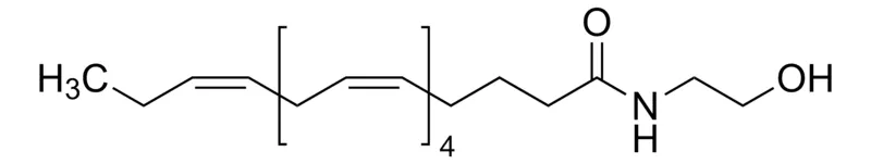 Sigma-Aldrich Eicosapentaenoyl ethanolamide,5 mg/mL无水乙醇溶液,≥98%(HPLC)