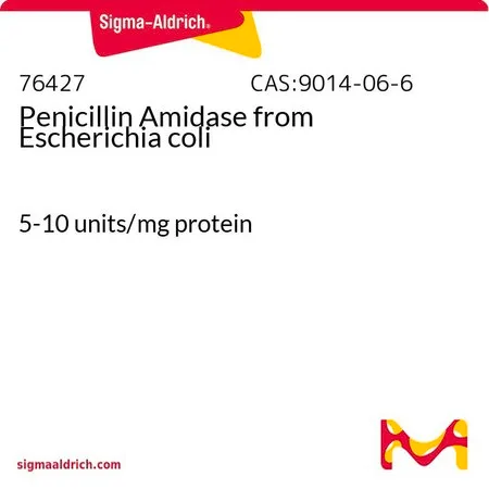 Sigma-Aldrich 青霉素酰胺酶 来源于大肠杆菌，5-10单位/mg蛋白
