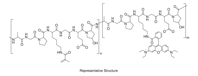 Sigma-Aldrich GelMA-RB,60%甲基丙烯酸化,每克材料1 umol罗丹明B