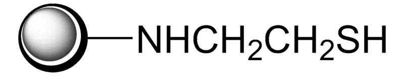 Sigma-Aldrich 2-巯基乙胺,聚合物键合型,70-90目,标记程度:0.6- 1.1mmol/g上样量,1%与二乙烯基苯交联