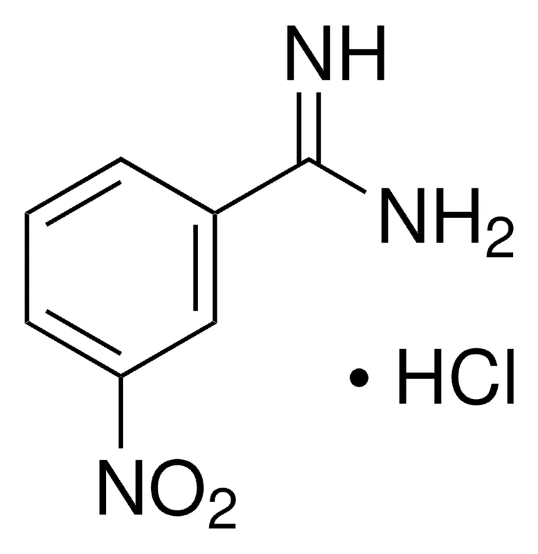 Sigma-Aldrich 3-硝基苯甲脒 盐酸盐，百分之九十五