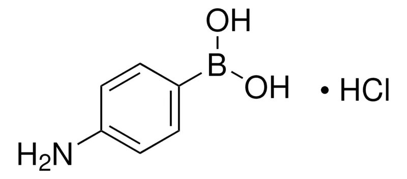 Sigma-Aldrich 4-氨基苯硼酸 盐酸盐,百分之九十五