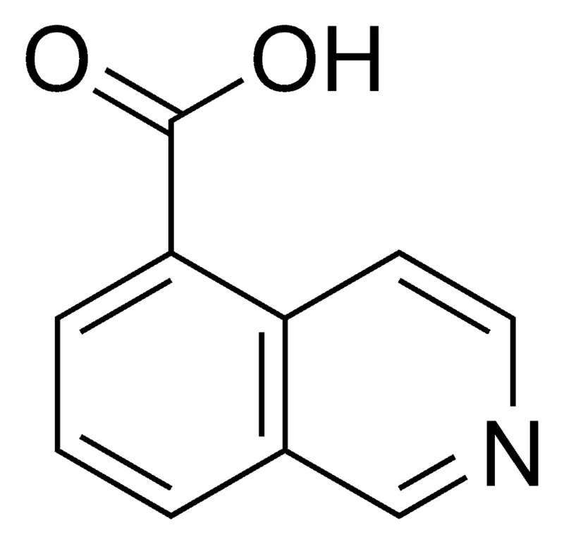 Sigma-Aldrich Isoquinoline-5-carboxylic acid，百分之九十五