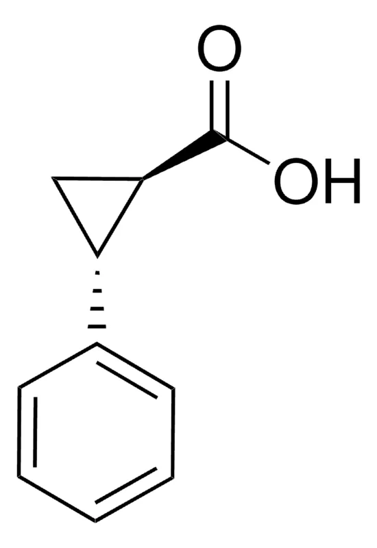 Sigma-Aldrich 反式-2-苯基环丙烷-1-羧酸，百分之九十五