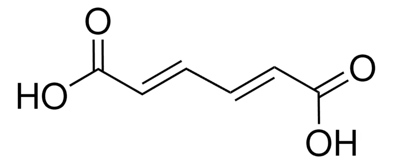 Sigma-Aldrich 反,反-粘康酸,百分之九十五
