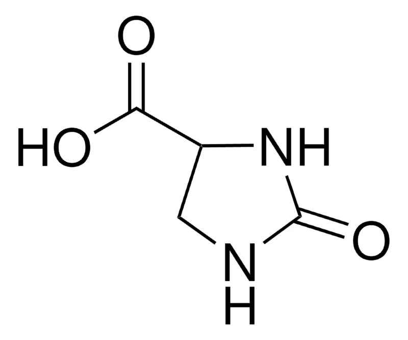 Sigma-Aldrich 2-咪唑啉酮-4-羧酸，百分之九十五