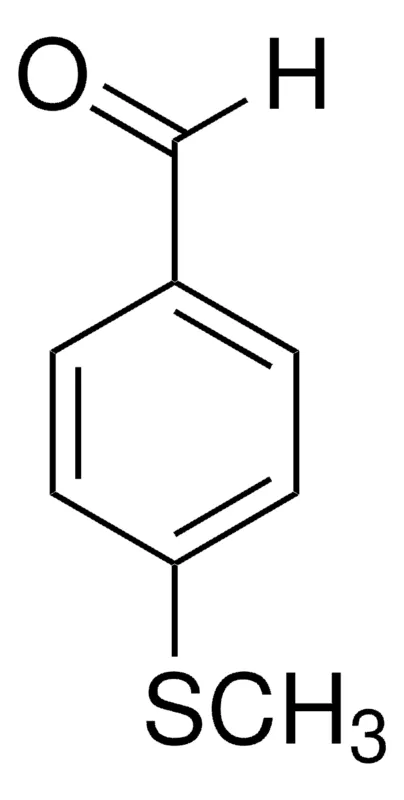 Sigma-Aldrich 4-(甲硫基)苯甲醛，百分之九十五