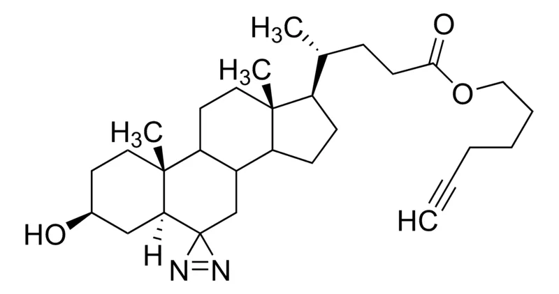 Sigma-Aldrich Photo-reactive Clickable trans-Sterol Probe,百分之九十五