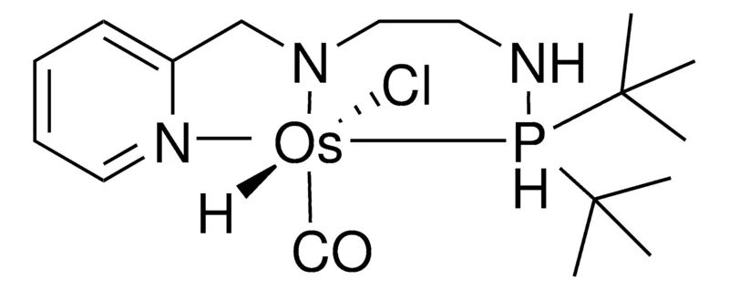Sigma-Aldrich OsHCl(CO)[κ3-PyCH2NHC2H4NHPtBu2]，95%，粉末或晶体